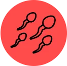 рд╕реНрдкрд░реНрдо рдХрд╛рдЙрдВрдЯ рдмрдврд╝рд╛рдП